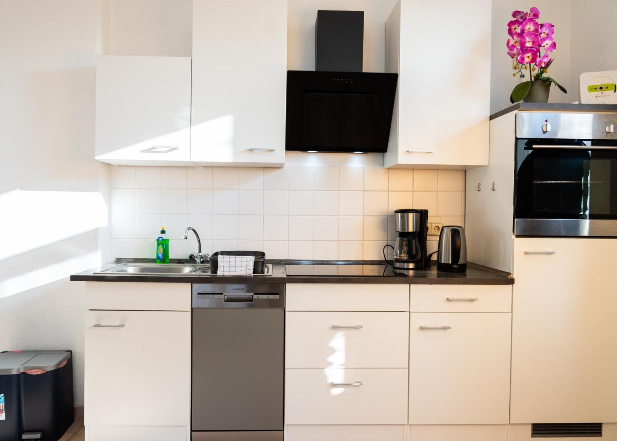 Apartmenthaus Rankestrasse 4 Drážďany Exteriér fotografie
