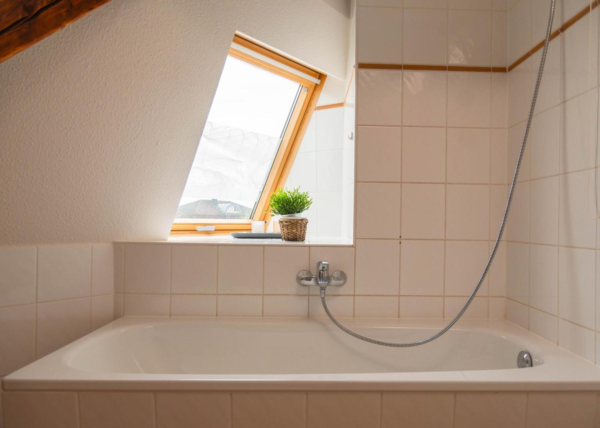 Apartmenthaus Rankestrasse 4 Drážďany Exteriér fotografie