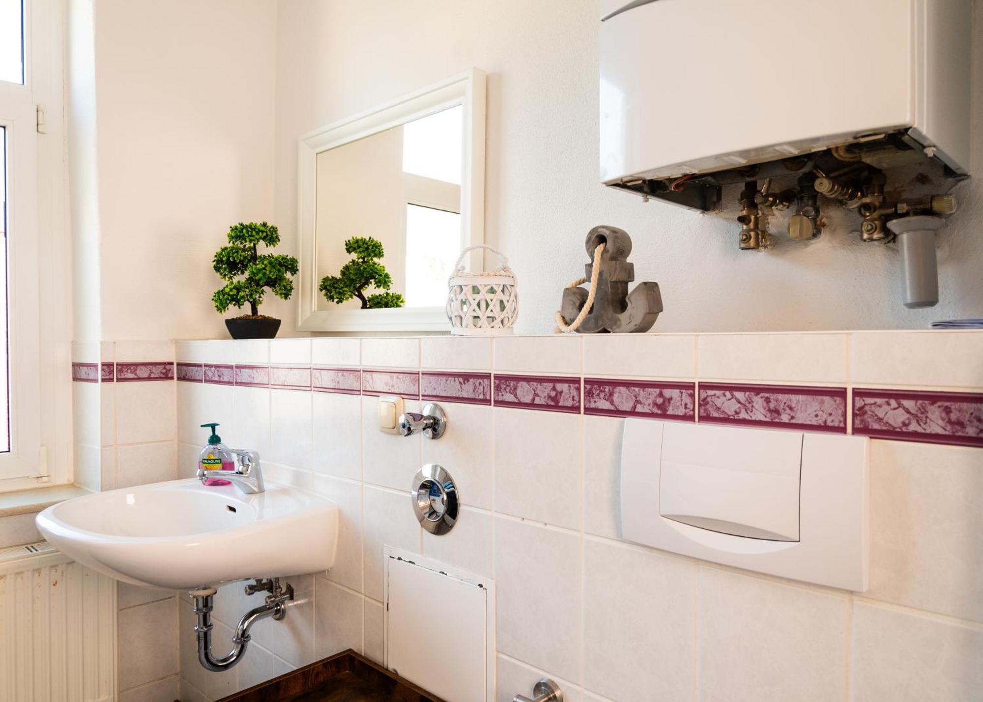 Apartmenthaus Rankestrasse 4 Drážďany Exteriér fotografie